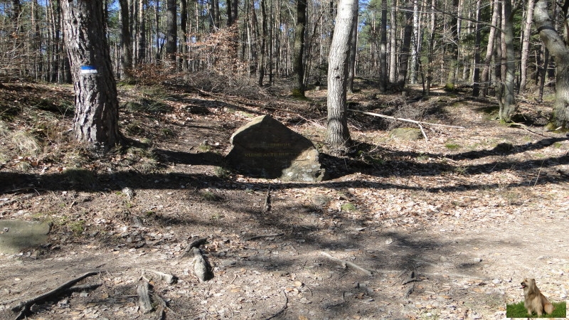 Ritterstein Nr. 239-4a Huettenhohl - Ruine alte Huette.JPG - Ritterstein Nr.239 Huettenhohl - Ruine alte Huette